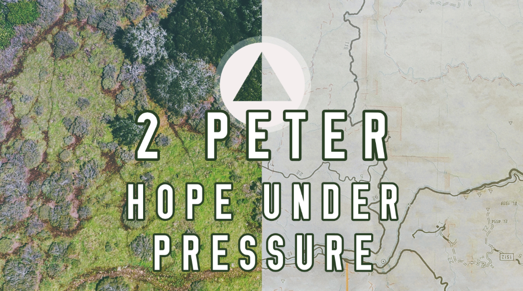 “Everything You Need” – HOPE UNDER PRESSURE | 2 Peter 1:1-4 (Part 12) sermon thumbnail