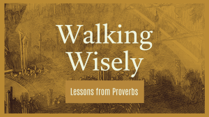 Walking Wisely main for web